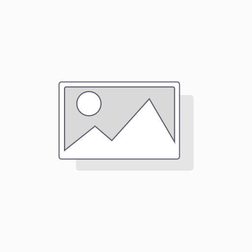 ZS Screen Glass NOKIA 6.1